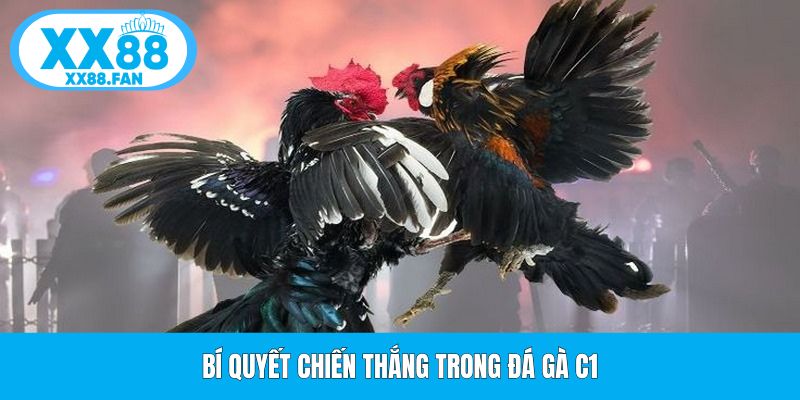 bi-quyet-chien-thang-trong-da-ga-c1
