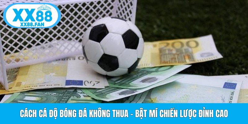 cach-ca-do-bong-da-khong-thua