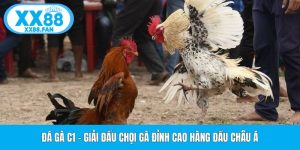 da-ga-c1