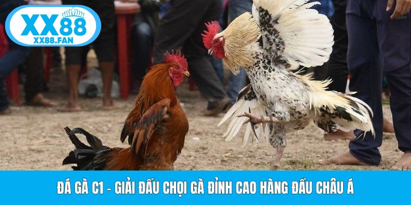 da-ga-c1