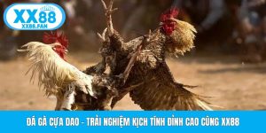 da-ga-cua-dao