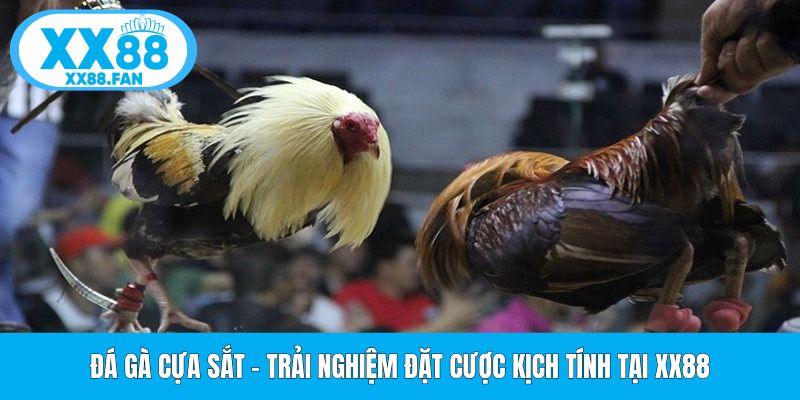 da-ga-cua-sat