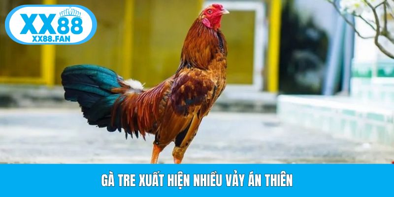 ga-tre-xuat-hien-nhieu-vay-an-thien