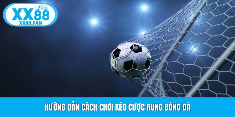 huong-dan-cach-choi-keo-cuoc-rung-bong-da