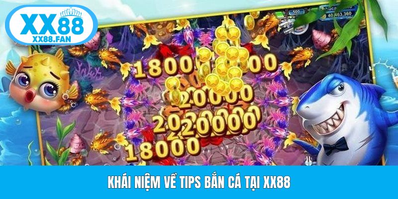 khai-niem-ve-tips-ban-ca-tai-xx88