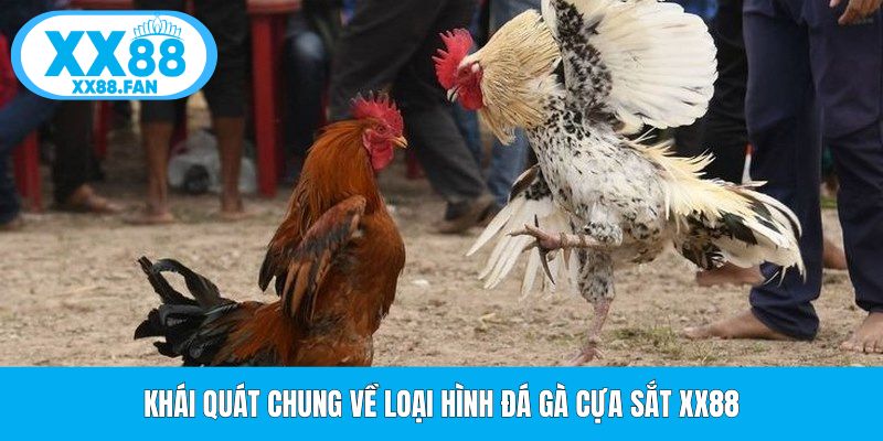 khai-quat-chung-ve-loai-hinh-da-ga-cua-sat-xx88