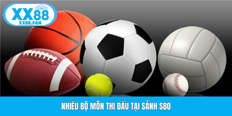 nhieu-bo-mon-thi-dau-tai-sanh-sbo