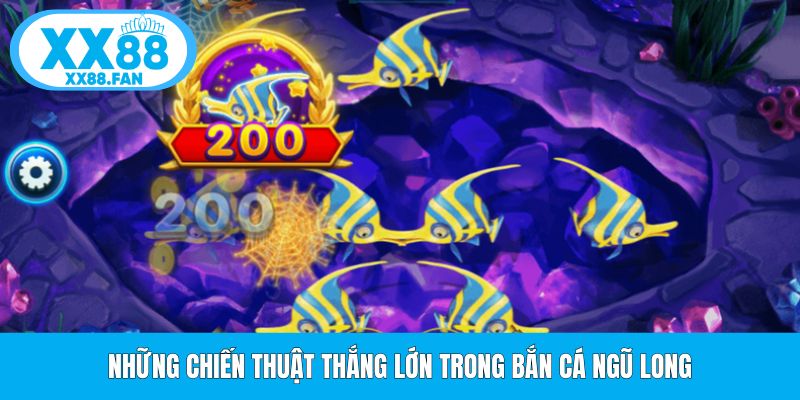 nhung-chien-thuat-thang-lon-trong-ban-ca-ngu-long