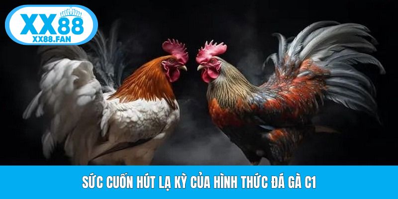 suc-cuon-hut-la-ky-cua-hinh-thuc-da-ga-c1