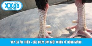 vay-ga-an-thien